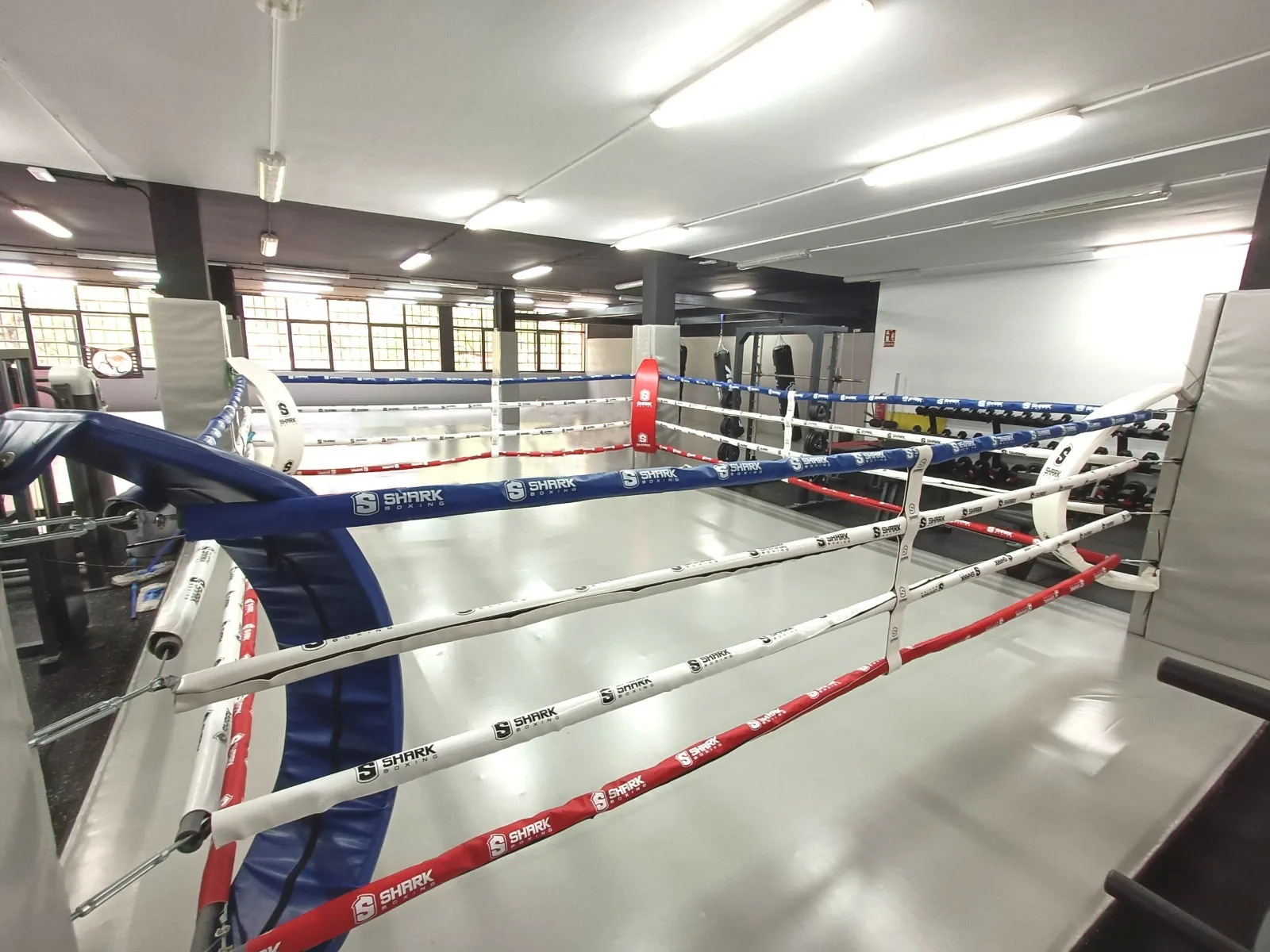 Ring de boxeo homologado