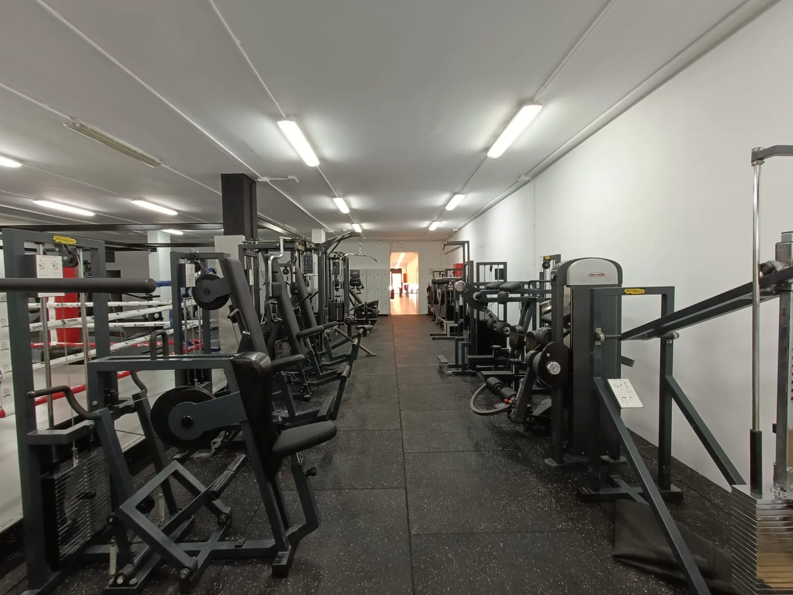 Pasillo con máquinas de fuerza por grupo muscular