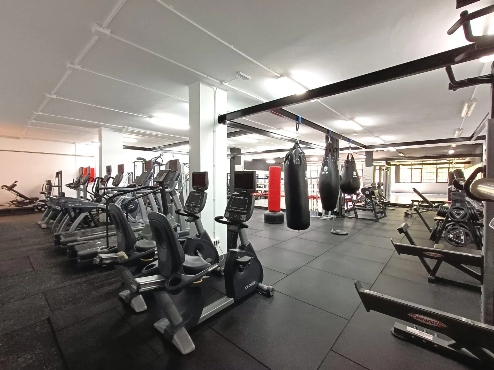 Cintas de correr, bicicletas y sacos de boxeo