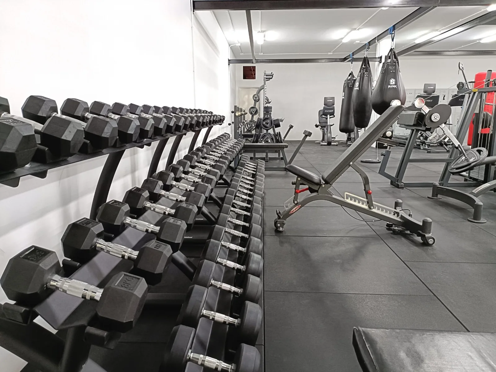 Rack completo de mancuernas hexagonales